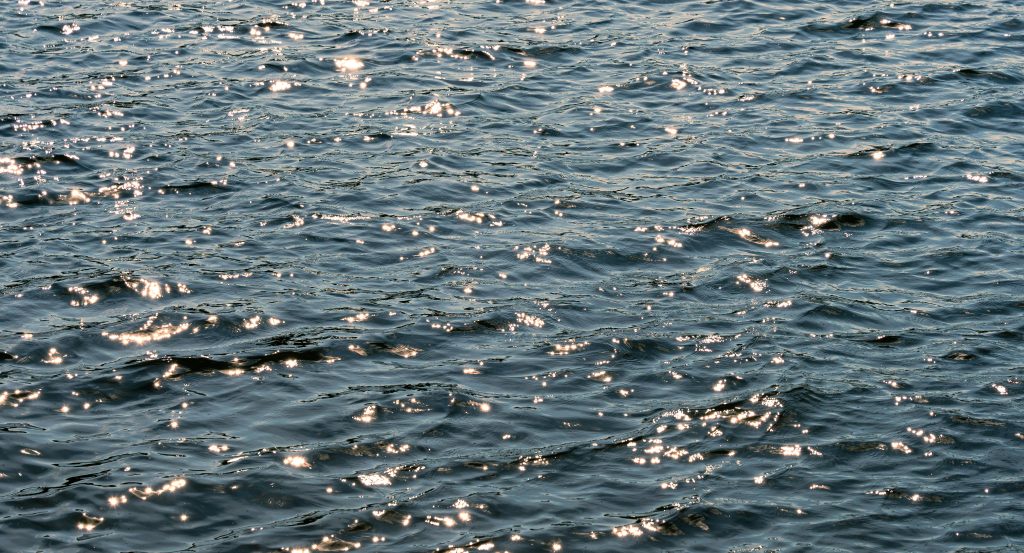 Which Shimano Fishing Reel Is Ideal For Saltwater Fishing?
