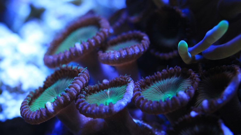 What Is The Best Way To Fish In Saltwater In NJ? What Is The Best Way To Fish In Saltwater In NJ?