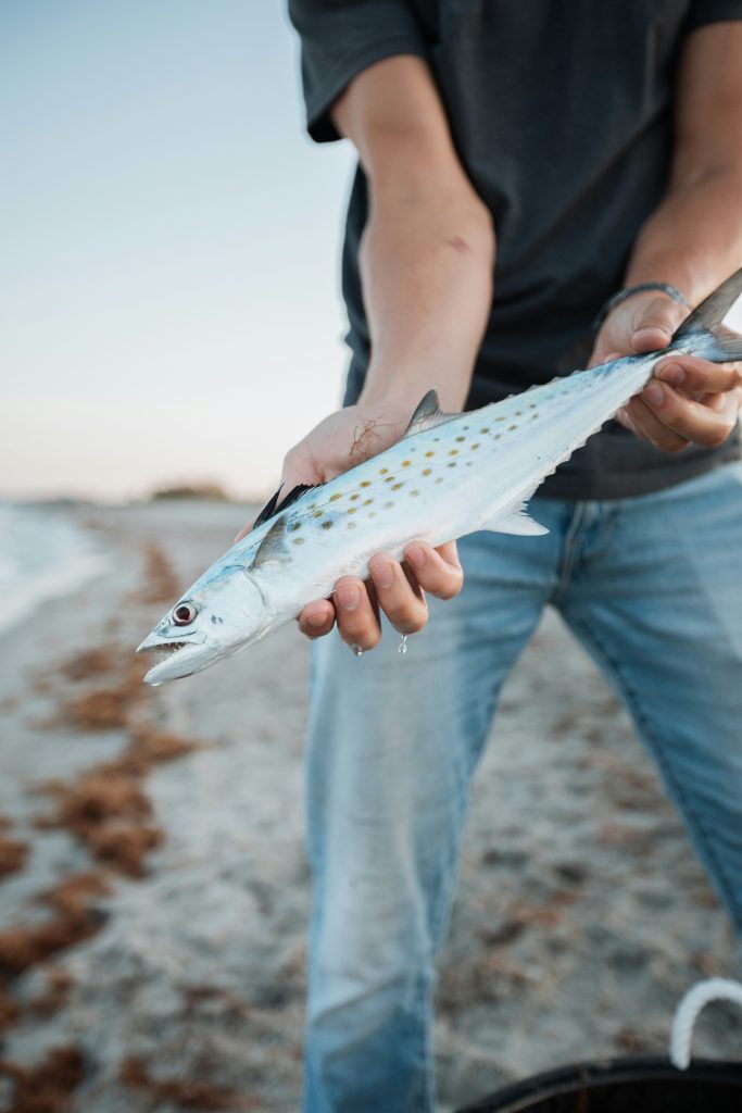 Can A Telescopic Fishing Rod Handle The Pressure Of Saltwater Fishing?