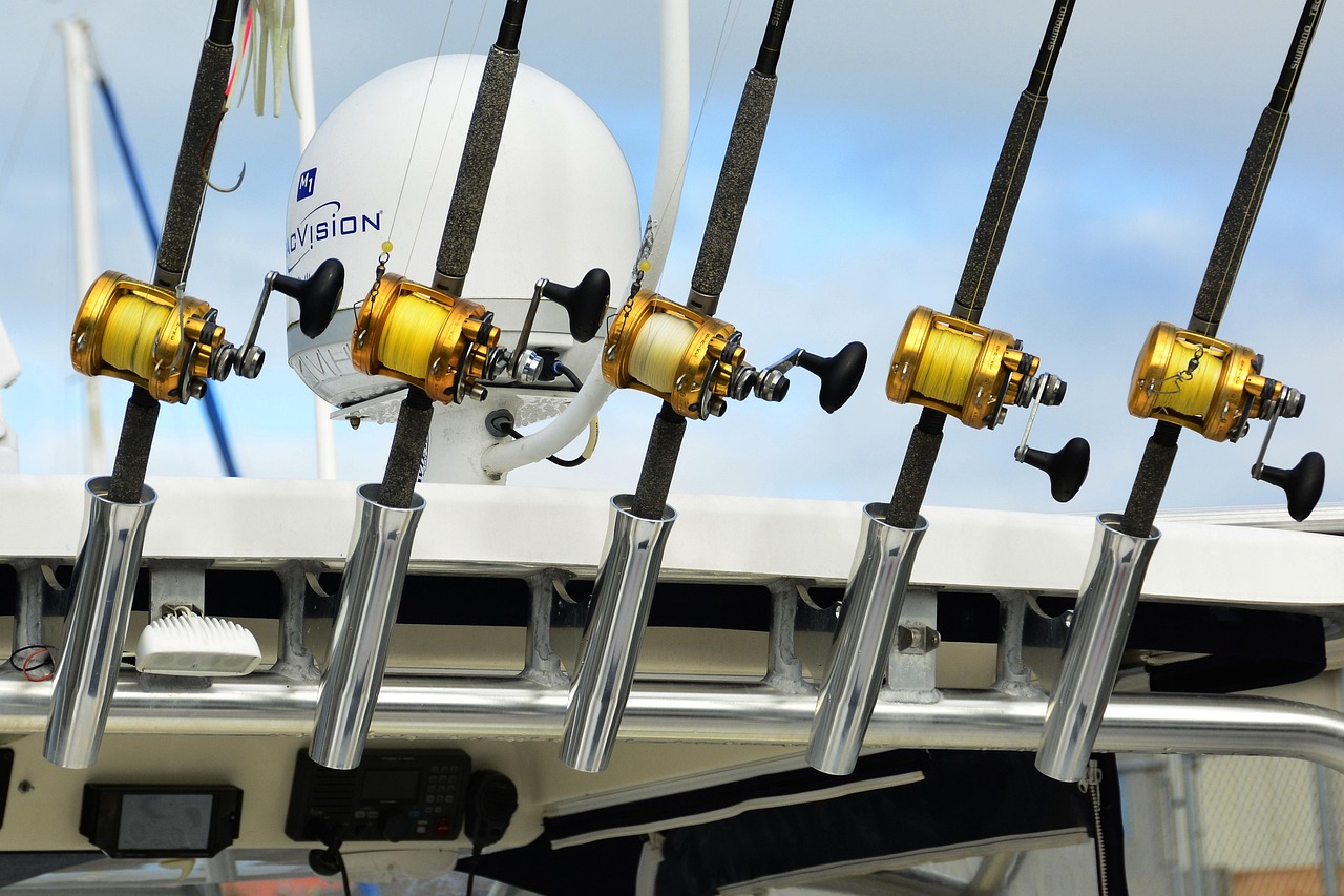 What Is The Best Way To Test The Action Of A Saltwater Fishing Rod?